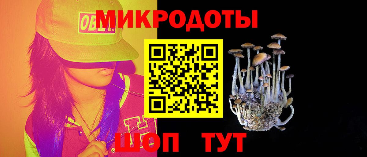 Псилоцибиновые грибы мухоморы Всеволожск